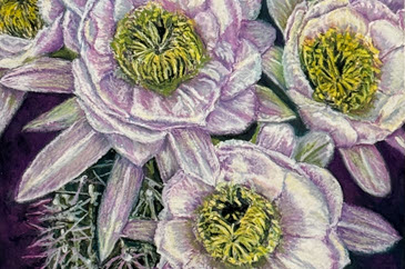 miller-fine_art-oil-pastel-desert-sunflowers-364x243.jpg