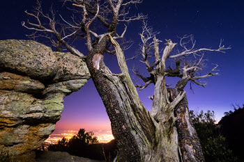 manzi-fine_art-photography-outside-our-time_350x233.jpg
